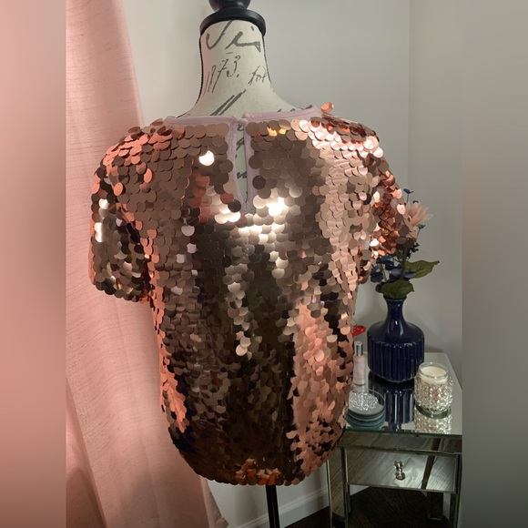 NWT Anthropologie/Eva Franco Aja Sequined Party Top Size S - Picture 6 of 8